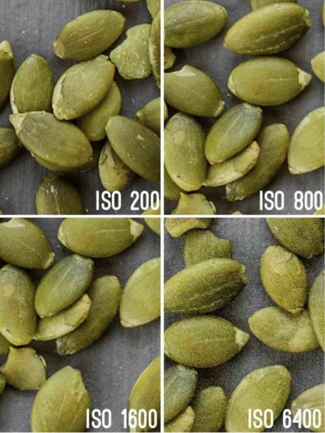 4 images de graines de tournesol allant de l'ISO 200 à 6400. Le 200 apparait net, le 6400 a du grain 